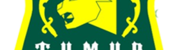 Logo timir