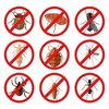 Thumb depositphotos 86923658 stock illustration set of pest insect icons