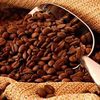 Thumb coffee beans small