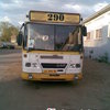 Thumb avtobus 290