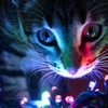 Thumb garland and cat by liz owl d4yv3dm