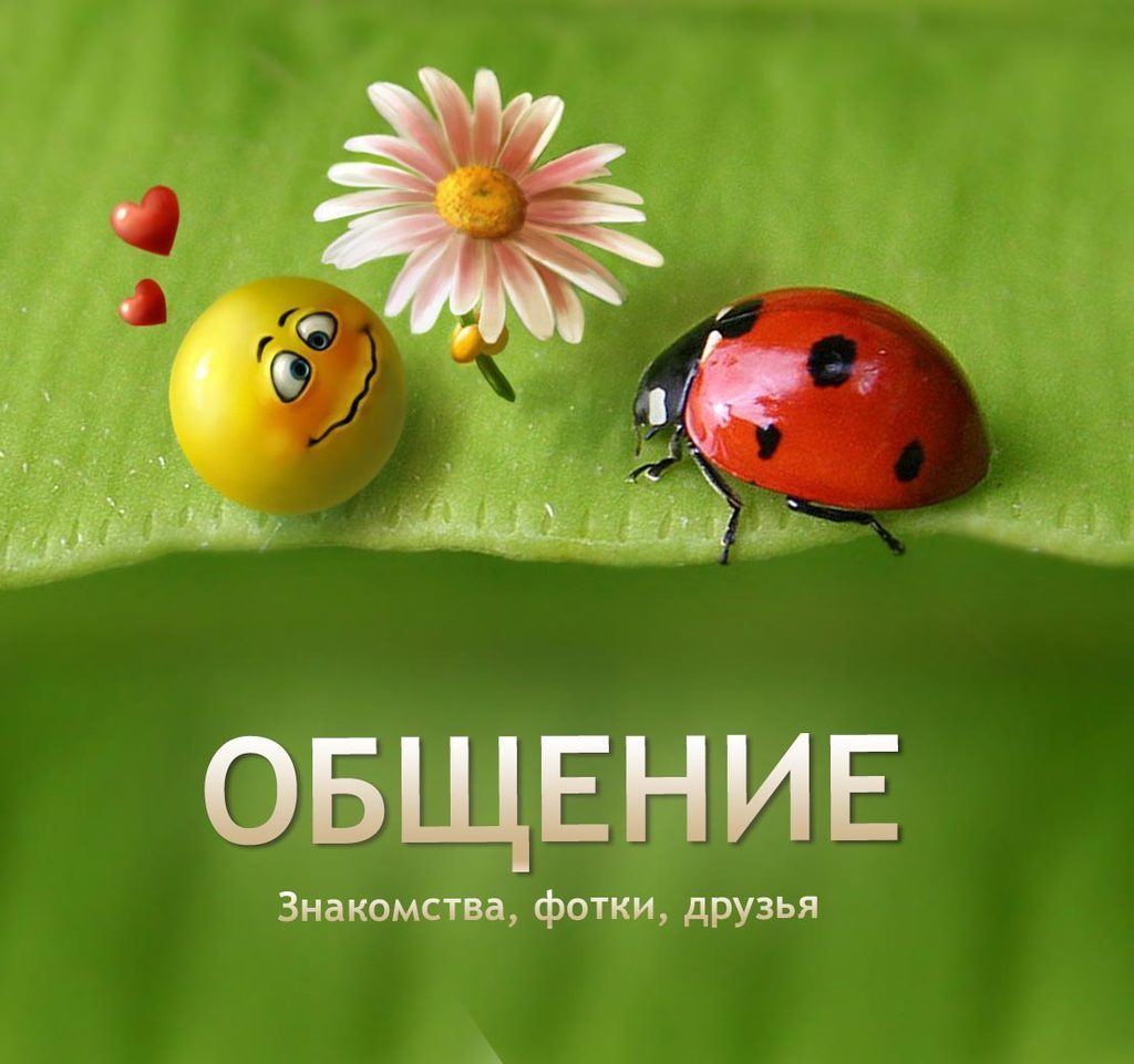 Надпись знакомьтесь