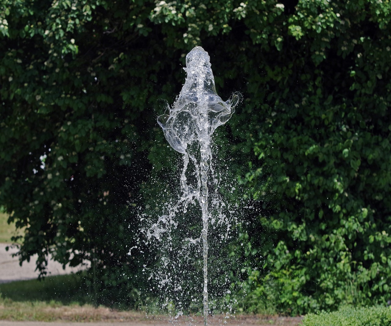 Water fountain текст с переводом. Брызги фонтана. Брызги воды фонтаны. Мокрая в фонтане. Вода из фонтана.
