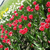 Thumb 93875au 960 14 847x564