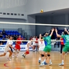 Thumb dsc 4199
