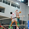 Thumb dsc 4236