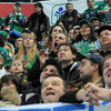 Thumb dsc 2834